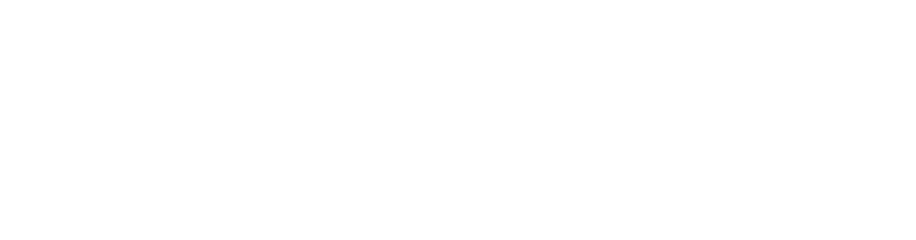 Autoskins PPF Wrap Tint Headliners