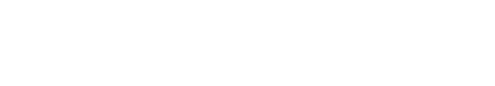 Autoskins